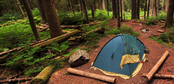 Indian Creek campsite