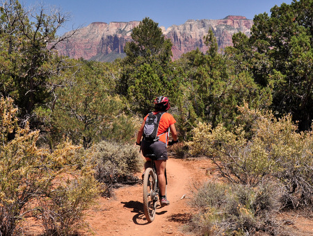 Single track with Zion peaks on the background