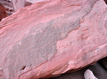Petroglyphs at the Talampaya Canyon